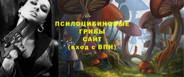 PSILOCYBIN Зеленокумск